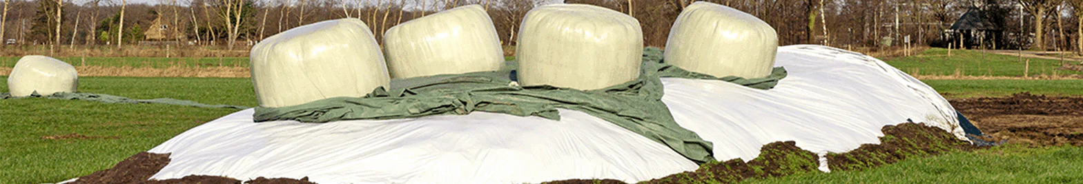 Gödsel Fermentera åker